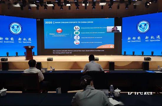 京津冀攜手共探跨境電商新路徑，線上對接會擘畫全球電商合作新藍圖