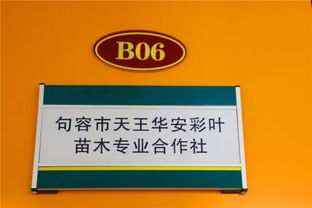 喜訊！華東森林產品電商城入選首批江蘇省鄉鎮電子商務特色產業園區